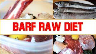 Easy Homemade DIY BARF Raw Food Diet for Your Dog [upl. by Ecneralc569]