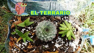 Como hacer un Terrario [upl. by Kcire]