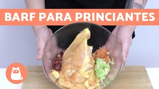 ¿Cómo hacer comida BARF para perros  PARTE 2 [upl. by Hurley526]