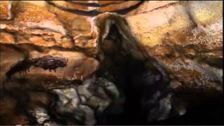 lascaux caves virtual tour [upl. by Elleiram888]