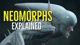 Neomorphs Explained Alien Covenant SPOILERS [upl. by Guild]