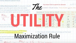 The Utility Maximization Rule [upl. by Mencher]