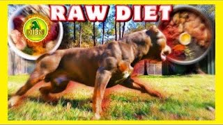 Raw Dog Food Diet For Dogs  BARF Diet [upl. by Treboh449]