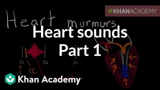 Systolic murmurs diastolic murmurs and extra heart sounds  Part 1  NCLEXRN  Khan Academy [upl. by Ellevart]