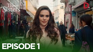 Turkish Drama in Urdu  Three Sisters Episode 1  Üç Kız Kardeş in Hindi  Drama Plus [upl. by Torrance66]