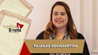 Explica Direito Filiação Socioafetiva  2019 [upl. by Enidaj]