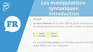 Allô prof  Les manipulations syntaxiques  introduction [upl. by Dickenson]