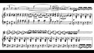 Schubert  Arpeggione Sonata 1st Mov piano accompaniment [upl. by Dranrev650]