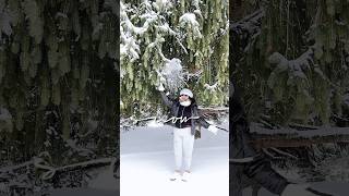 Thoo manju veena vazhiyil snowfix snowmuchfun letitsnow winterwonderlandvibes wisconsinwinter [upl. by Dutchman230]