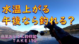 【芦ノ湖】水温上がる午後から狙うんじゃ痛風おじさん釣行記take170 [upl. by Osicnarf]