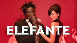 NK  ELEFANTE Official Video [upl. by Lorou]