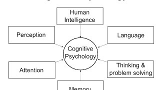 Cognitive Psychology Introduction [upl. by Maunsell]