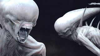 The NEOMORPH Explained [upl. by Attehcram20]