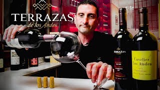 Terrazas de los Andes Malbec  Argentina Wine Review [upl. by Anauqahc]