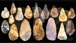 Stone Tool Technology of Our Human Ancestors — HHMI BioInteractive Video [upl. by Isadora]