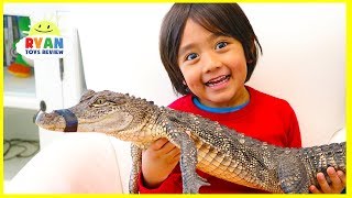 Surprise Ryan with Pet Crocodile [upl. by Airalednac]