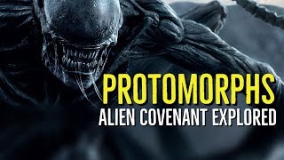 PROTOMORPHS ALIEN COVENANT Explored [upl. by Crabb]