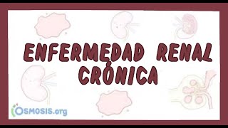 Enfermedad Renal Crónica  Ósmosis en Español [upl. by Korns]