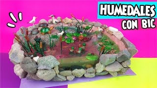 HUMEDALES en Así o más fácil Checa el video ✔ ★ Así o más fácil ★ DIY y Medio Ambiente [upl. by Enelyam661]