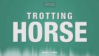 Horse SOUND EFFECT  Cantering Trotting Horse SOUNDS Pferd SFX [upl. by Renaud]