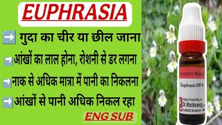 EUPHRASIA full details in hindi  drsupportonyoutube [upl. by Oilejor]