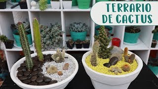 Cómo hacer un terrario con cactus│Candy Bu [upl. by Lorimer431]