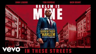 The True Story Behind the Godfather of Harlem [upl. by Matusow731]