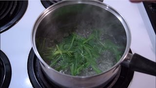 How To Harvest amp Cook Wild Lettuce Greens  Wild Edible Recipes [upl. by Sweeney]