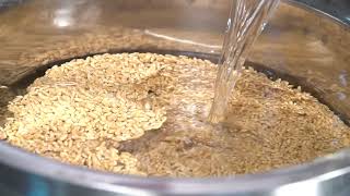 Demonstration Video on Processing of Wheat Milling  English [upl. by Anivek]