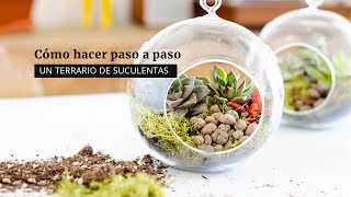 Cómo hacer un terrario de suculentas [upl. by Randell]