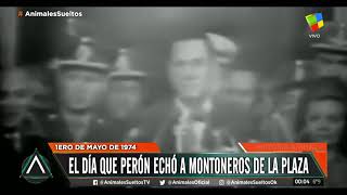 El día que Perón echó a Montoneros de la Plaza [upl. by Ellatsyrc373]