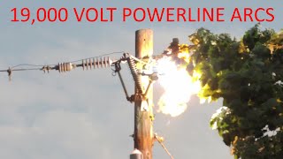 19900V Power Line Arcing off a Tree [upl. by Seavey894]