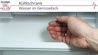 Kühlschrank  Wasser im Gemüsefach [upl. by Adyan]