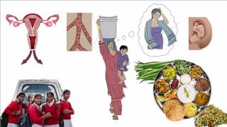 Iron Deficiency Anemia Hindi [upl. by Eiramlehcar]