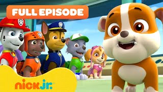 Rubble Joins the PAW Patrol and the Pups Save a Walrus  FULL EPISODES  Nick Jr [upl. by Eneres]