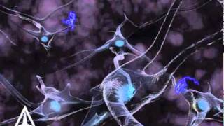 How Neurotransmission amp brain signals work  3D animation [upl. by Aleihs]