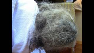 How Can I Detangle A Massive Ball Of Matted Hair [upl. by Einitsed]