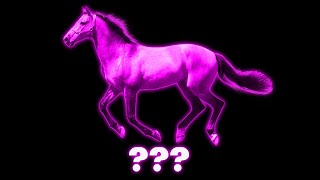 14 quotHorse Runningquot Sound Variations in 40 Seconds [upl. by Haraf]