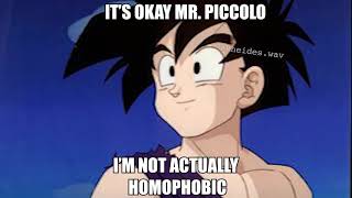 Homophobic Gohan Original [upl. by Fillbert]