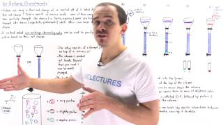 Ion Exchange Chromatography [upl. by Nesyrb]