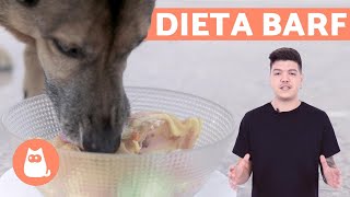 DIETA BARF  Alimentos cantidades y TIPS  PARTE 1 [upl. by Runstadler]