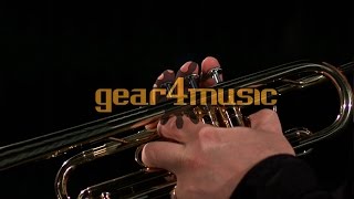 Coppergate C Trumpet by Gear4music Performance [upl. by Rowley]