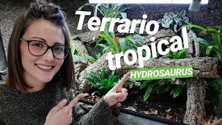 Cómo hacer un TERRARIO TROPICAL con PLANTAS [upl. by Hpesoy]