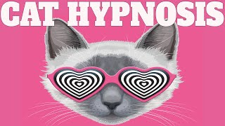 Sound To Calm Cats Within Minutes  Cat Hypnosis [upl. by Udela446]