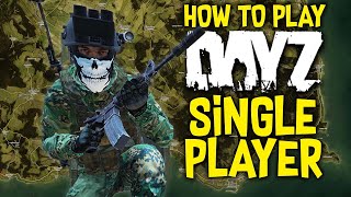 HOW TO PLAY DAYZ IN SINGLE PLAYER [upl. by Eenel]