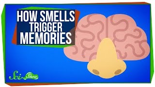 How Smells Trigger Memories [upl. by Inanak690]