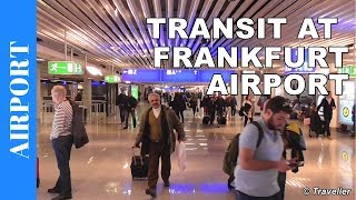 TRANSIT WALK AT FRANKFURT Airport FRA Terminal 1  Connection Flight Transfer Arriving amp Departing [upl. by Manlove]