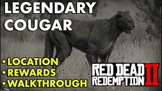 Red Dead Redemption 2  Legendary Cougar Location Rewards Walkthrough [upl. by Iroj922]