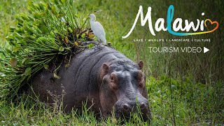 Visit Malawi [upl. by Rebma470]