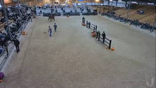 Topeka Livestock Auction Live Stream [upl. by Kawai17]